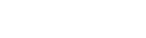 Selini Capital